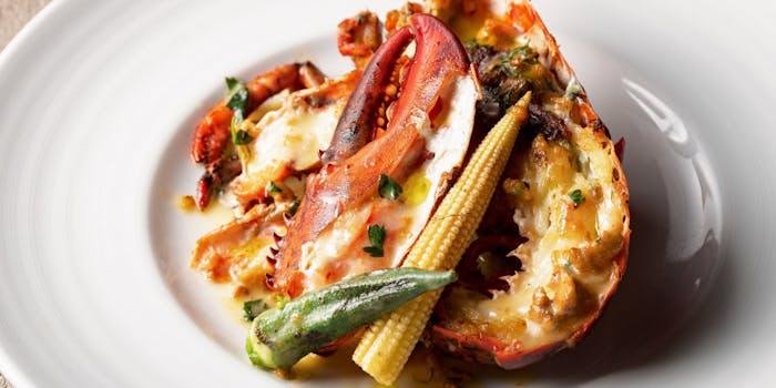 ラゾーナ川崎プラザ周辺グルメ おしゃれで美味しい レストランランキング 選 一休 Comレストラン ラゾーナ川崎プラザ周辺グルメ おしゃれで美味しい レストランランキング 選 一休 Comレストラン