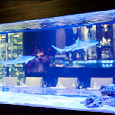 圧倒的な存在感を放つ巨大水槽を眺めながら、最高のお料理とワンランク上の雰囲気を