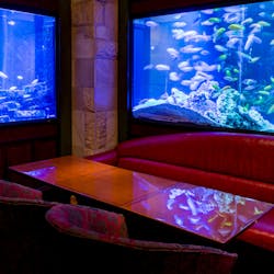 7vhjpdyurpocmm 7vhjpdyurpocmm