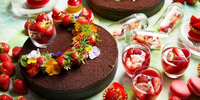 大阪 ケーキバイキング ケーキ食べ放題ランチ ティー特集22 一休 Comレストラン 大阪 ケーキバイキング ケーキ食べ放題ランチ ティー特集22 一休 Comレストラン