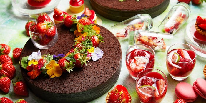 梅田のチーズフォンデュが楽しめるおすすめレストラントップ5 一休 Comレストラン 梅田のチーズフォンデュが楽しめるおすすめレストラントップ5 一休 Comレストラン