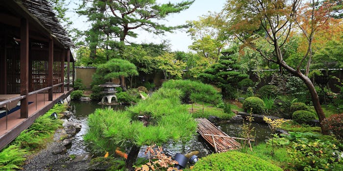 ランチ 湯豆腐 料庭 八千代 ユドウフ リョウテイ ヤチヨ 蹴上 湯豆腐 懐石料理 一休 Comレストラン ランチ 湯豆腐 料庭 八千代 ユドウフ リョウテイ ヤチヨ 蹴上 湯豆腐 懐石料理 一休 Comレストラン