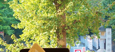 原宿竹下通り周辺ランチ21 おすすめ 絶品お昼ごはん11選 一休 Comレストラン 原宿竹下通り周辺ランチ21 おすすめ 絶品お昼ごはん11選 一休 Comレストラン