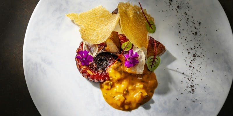 【Authentic】シェフ厳選のお魚料理を含む全8品