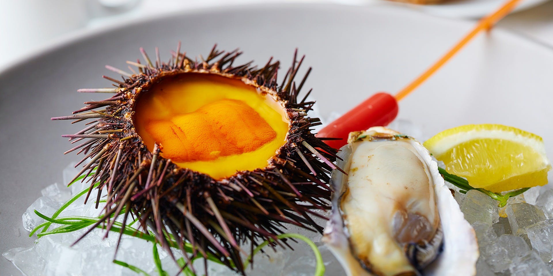 Bar＆Lounge MAJESTIC（バー＆ラウンジ マジェスティック）