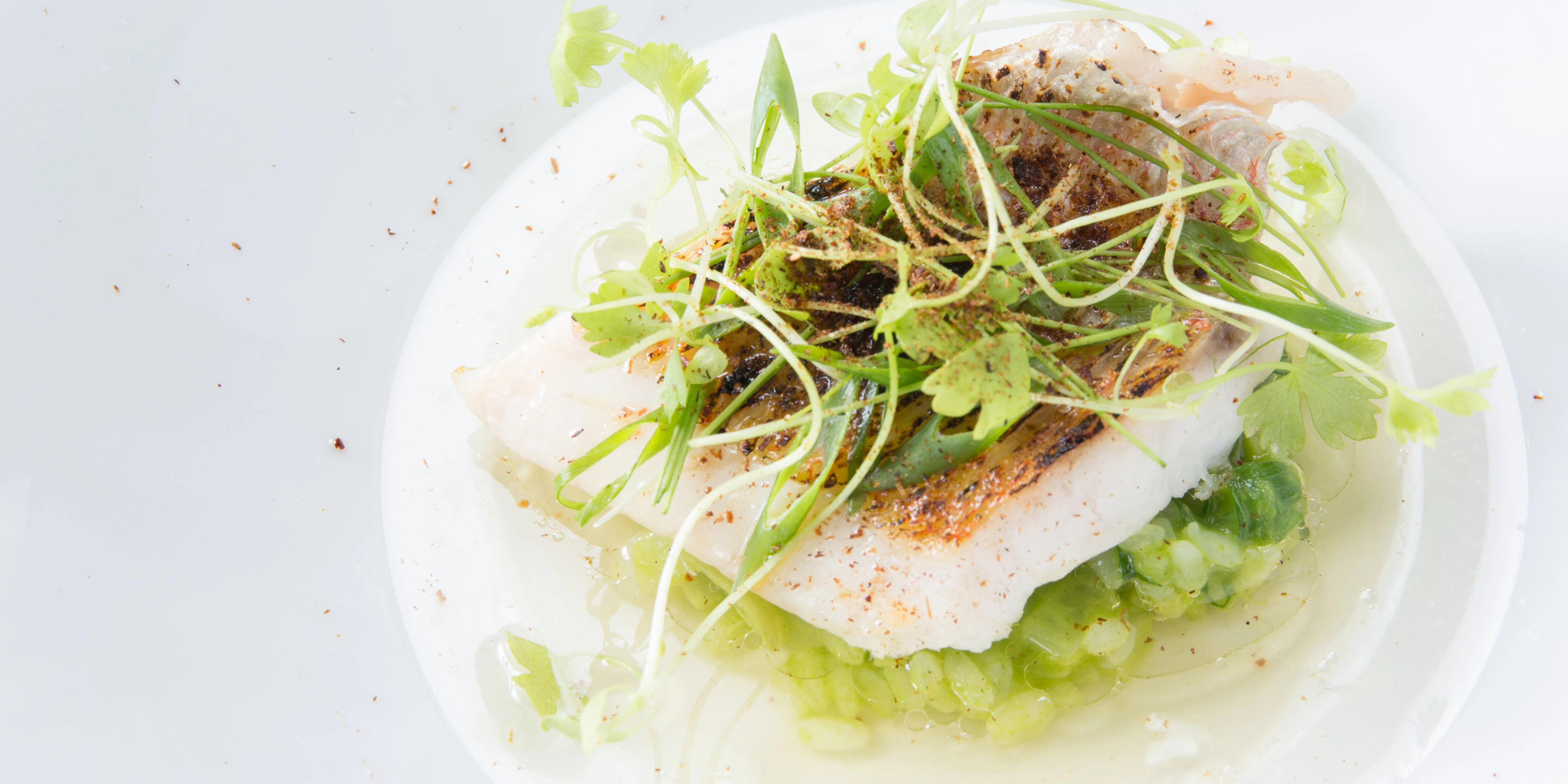 仏蘭西料理 La Terrasse フランスリョウリ ラ テラス 奈良 フランス料理 一休 Comレストラン
