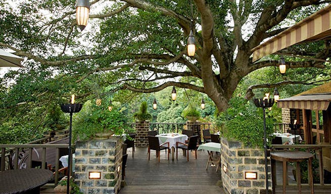 仏蘭西料理 La Terrasse フランスリョウリ ラ テラス 奈良 フランス料理 一休 Comレストラン 仏蘭西料理 La Terrasse フランスリョウリ ラ テラス 奈良 フランス料理 一休 Comレストラン