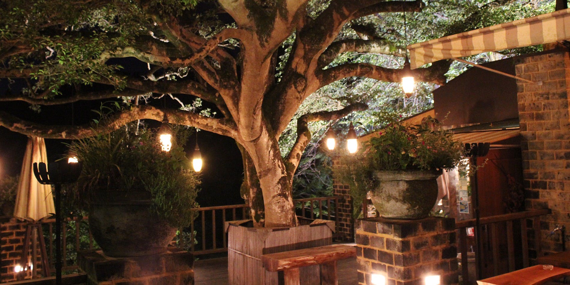 仏蘭西料理 La Terrasse フランスリョウリ ラ テラス 奈良 フランス料理 一休 Comレストラン