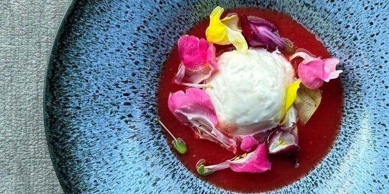 Bella（ベッラ）セット【3500円】ベッラ カプレーゼなど前菜2皿 / 選べるパスタ/ 選べるドリンク