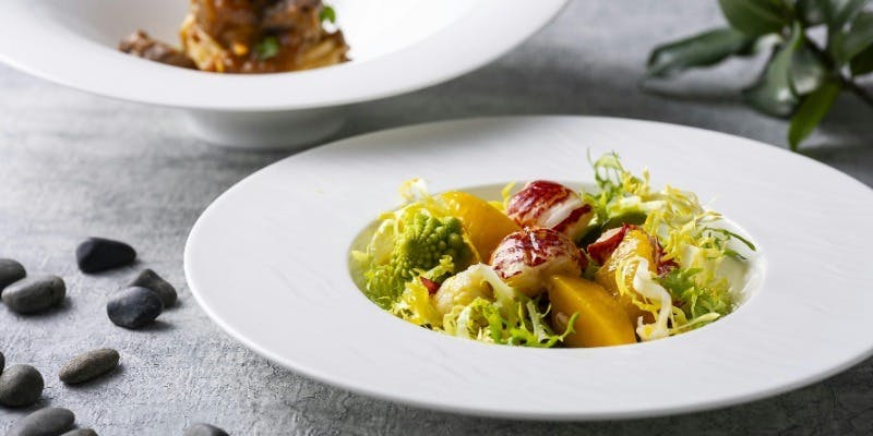 【Il Mio イルミオ】季節の食材で彩るコース全6品