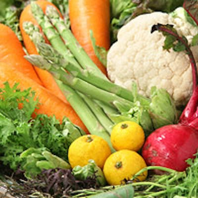 健康に気を配ったイタリア料理