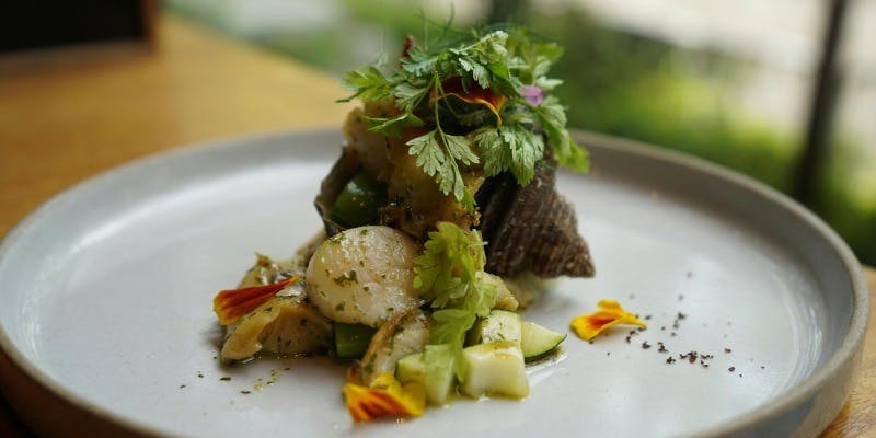 Restaurant Re: