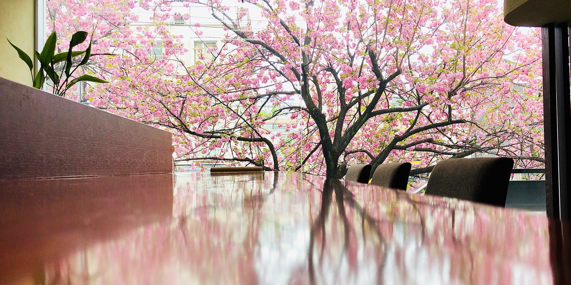 レストラン アールイー Restaurant Re 中目黒 フランス料理 一休 Comレストラン