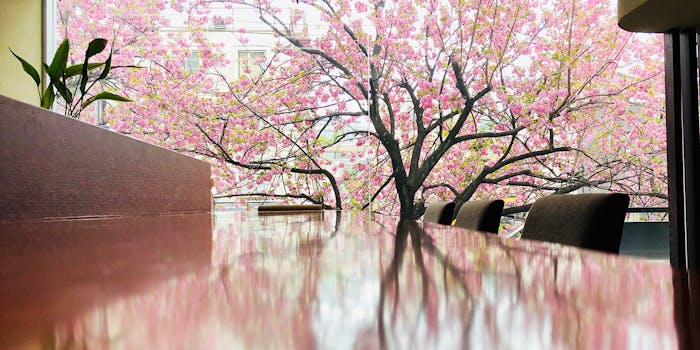 レストラン アールイー Restaurant Re 中目黒 フランス料理 一休 Comレストラン レストラン アールイー Restaurant Re 中目黒 フランス料理 一休 Comレストラン