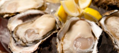21年 最新 神保町の美味しいディナー19店 夜ご飯におすすめな人気店 一休 Comレストラン 21年 最新 神保町の美味しいディナー19店 夜ご飯におすすめな人気店 一休 Comレストラン