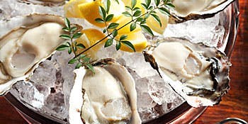 Oysterbar Wine Belon ブロン 神保町 神田 オイスターバー 一休 Comレストラン Oysterbar Wine Belon ブロン 神保町 神田 オイスターバー 一休 Comレストラン