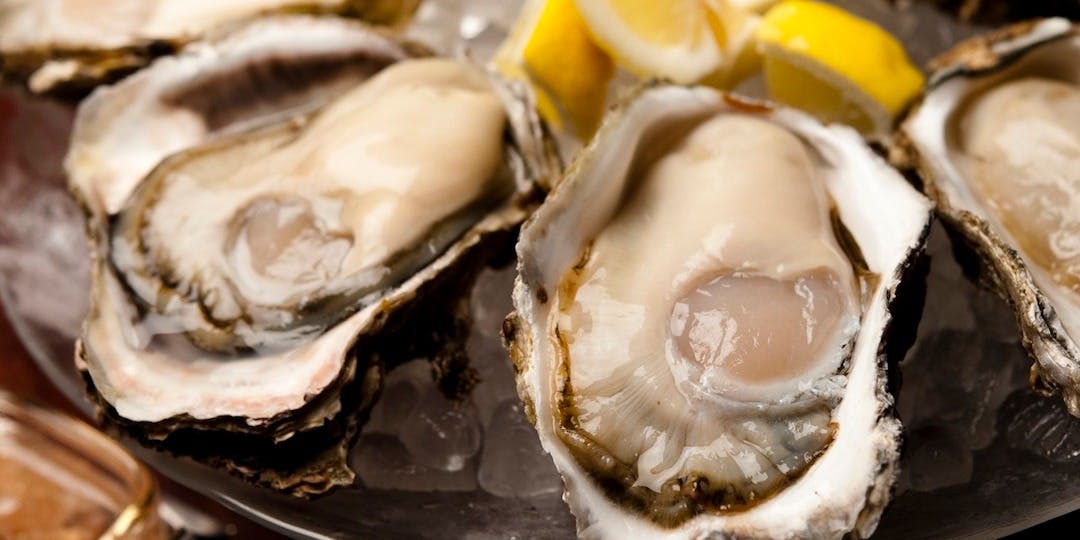 Oysterbar Wine Belon ブロン 神保町 神田 オイスターバー 一休 Comレストラン Oysterbar Wine Belon ブロン 神保町 神田 オイスターバー 一休 Comレストラン
