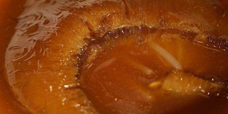 雪園 京橋 - 画像11