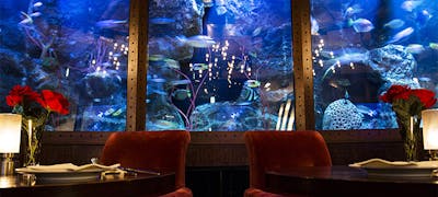 アイビーホール周辺グルメ おしゃれで美味しい レストランランキング 30選 一休 Comレストラン