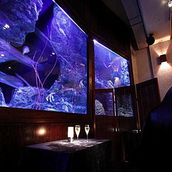 �f�� �A�N�A���[�� �R�iDEN AQUAROOM AOYAMA�j