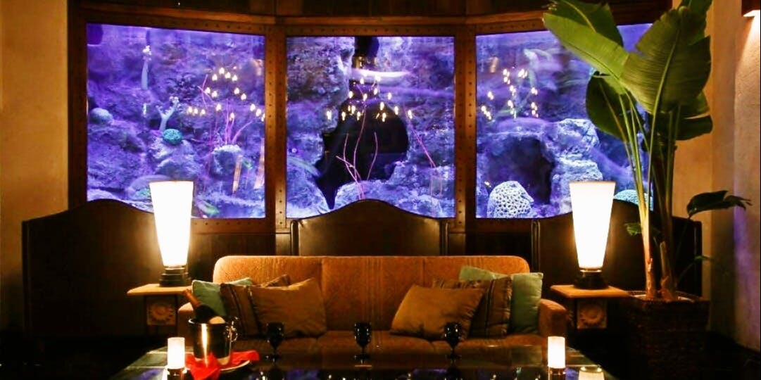 記念日におすすめのレストラン・デン アクアルーム 青山(DEN AQUAROOM AOYAMA)の写真1