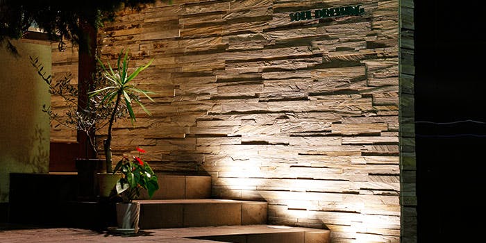 SOUL DRESSING - 画像5