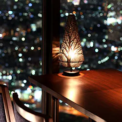 星空の中へ ホシゾラノナカヘ 新宿 天空ダイニング 一休 Comレストラン 星空の中へ ホシゾラノナカヘ 新宿 天空ダイニング 一休 Comレストラン