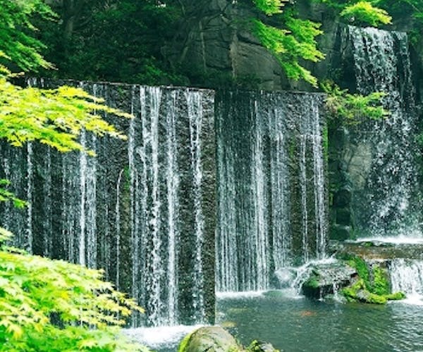 ランチ 女子会 日本料理 渡風亭 ホテル雅叙園東京 Okaimonoモール レストラン