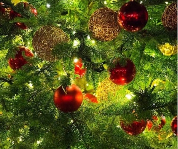 クリスマス ランチ 小笠原伯爵邸 Okaimonoモール レストラン クリスマス ランチ 小笠原伯爵邸 Okaimonoモール レストラン