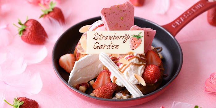 Anmp Jgwlc1l2m Anmp Jgwlc1l2m