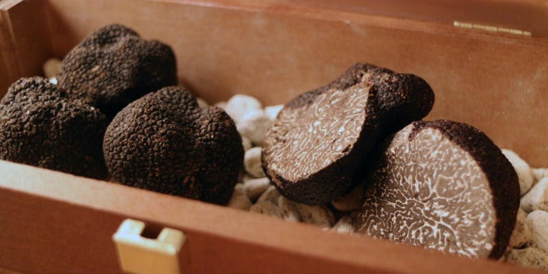 Black Truffes Course 9品※27,500円はコースのみの価格で黒トリュフは含まれていません。（ダイニング席）