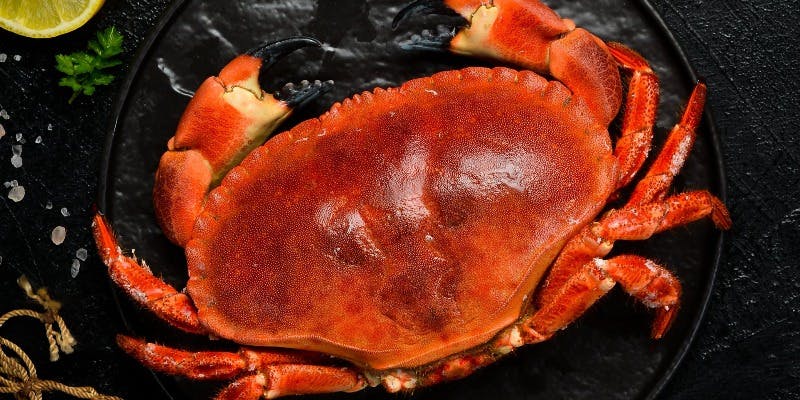 【サイアムビューティーコース　贅沢なストーンクラブ付き】ボウル料理、選べるメインなど全8品