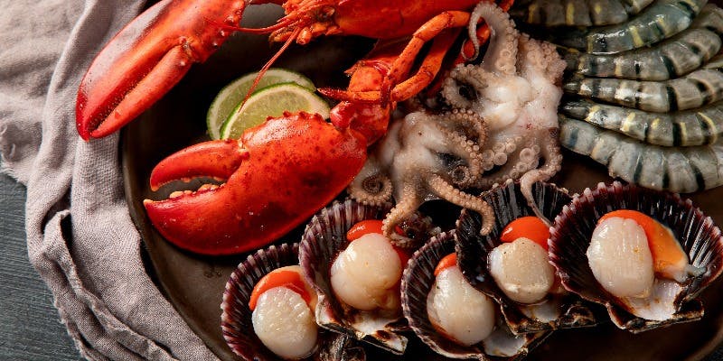 【Xmas2025】チェディ クリスマス