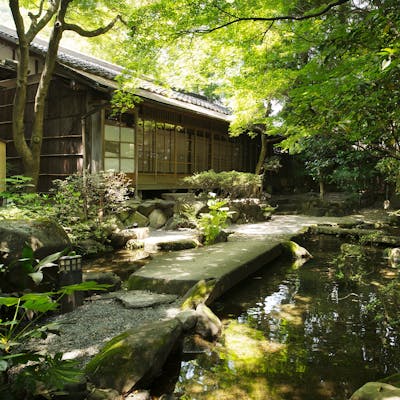 窓の向こうに高野川、庭の緑から木漏れ日がこぼれるお部屋