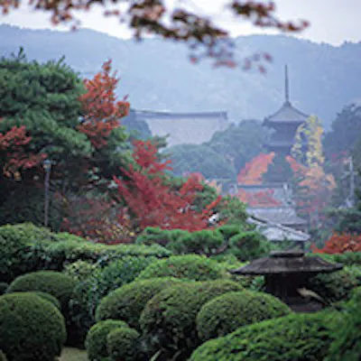 大文字山を間近に眺めることのできる庭園