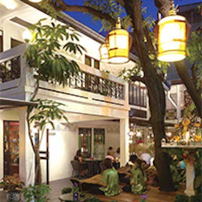 タイ・バンコク、ロンドン、東京、香港など、世界に広がる“マンゴツリー”