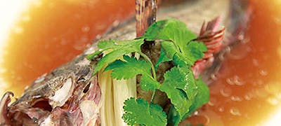 21年 最新 柏の美味しいディナー6店 夜ご飯におすすめな人気店 一休 Comレストラン 21年 最新 柏の美味しいディナー6店 夜ご飯におすすめな人気店 一休 Comレストラン
