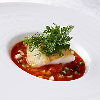 クリスマス ディナー サンマキアージュ Okaimonoモール レストラン