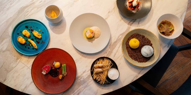  【Xmas2025】日本各地の旬を味わう色鮮やかなクリスマス特別ディナーコース