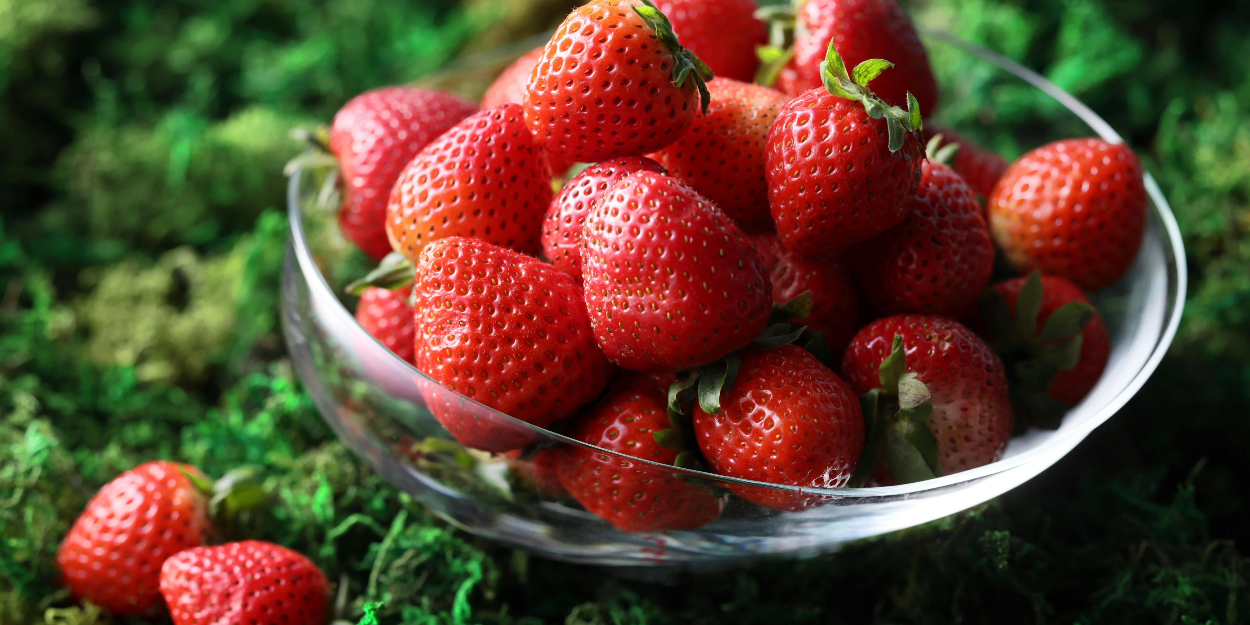 ザ・ガーデン（THE GARDEN）