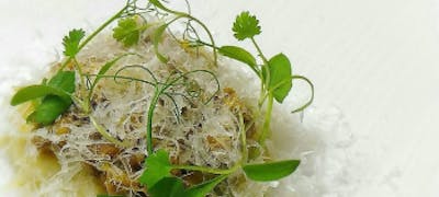 広尾駅周辺ランチ21 おすすめ 絶品お昼ごはん12選 一休 Comレストラン 広尾駅周辺ランチ21 おすすめ 絶品お昼ごはん12選 一休 Comレストラン