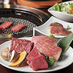 韓国惣菜と焼肉 トラジ 京橋店 京橋 焼肉 韓国料理 一休 Comレストラン 韓国惣菜と焼肉 トラジ 京橋店 京橋 焼肉 韓国料理 一休 Comレストラン