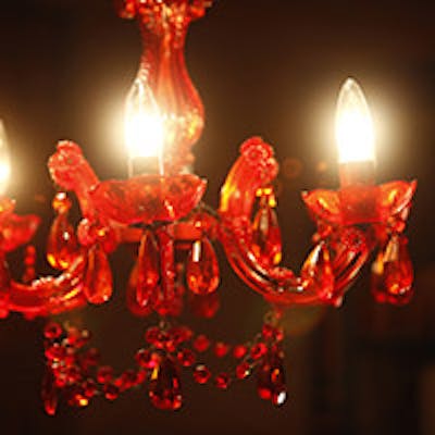 徹底した品質管理で本物の美味いジビエを