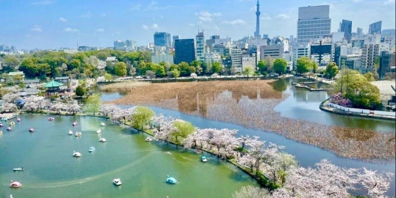 （3/17～4/4）平日限定＜春の彩りランチ＞上野の桜を一望しながら優雅なお花見を！