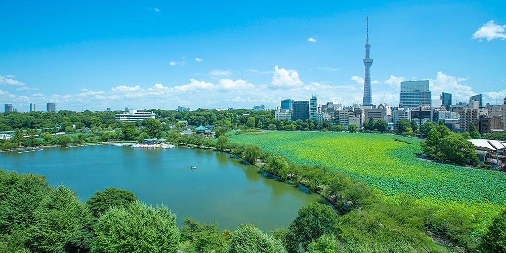 LUCIS GARDEN　 東天紅上野店 - 画像3