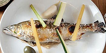 Academic Wine Bar ワインのばか