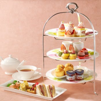 ���r�[���E���W�^�U�E�v�����X �p�[�N�^���[����