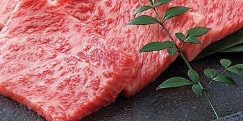 CHARCOAL RESTAURANT KABTO - 画像11