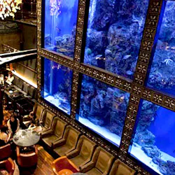 7m6hptmoaiixcm 7m6hptmoaiixcm