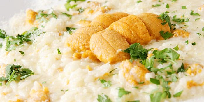 LUXIS（ラグシス）